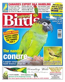 No. 5860 The Nanday Conure 
                issue No. 5860 The Nanday Conure