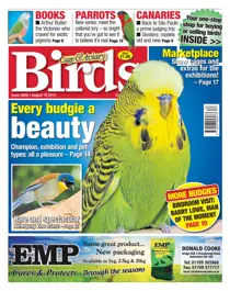 No. 5868 Every budgie a beauty 
                issue No. 5868 Every budgie a beauty