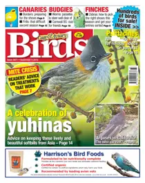 No. 5871 A Celebration of Yuhinas 
                issue No. 5871 A Celebration of Yuhinas