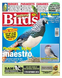 No. 5872 Pheasants, by the maestro 
                issue No. 5872 Pheasants, by the maestro