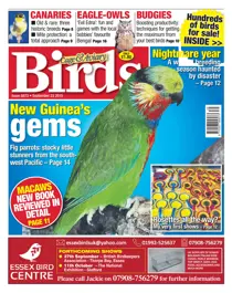 No. 5873 New Guinea's gems 
                issue No. 5873 New Guinea's gems