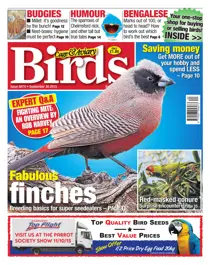 No. 5874 Fabulous Finches 
                issue No. 5874 Fabulous Finches