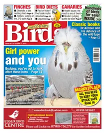 No. 5877 Girl power and you. 
                issue No. 5877 Girl power and you.