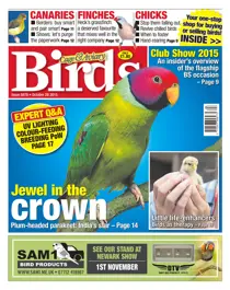 No. 5878 Jewel in the crown 
                issue No. 5878 Jewel in the crown