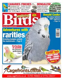 No. 5882 Adventures With Rarities 
                issue No. 5882 Adventures With Rarities