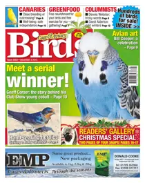 No. 5883 Meet A Serial Winner 
                issue No. 5883 Meet A Serial Winner