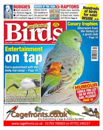 No. 5887 Entertainment on tap 
                issue No. 5887 Entertainment on tap