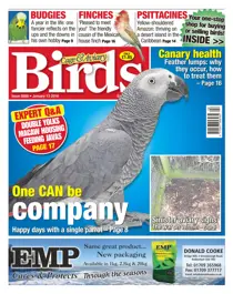 No. 5888 One CAN Be Company  
                issue No. 5888 One CAN Be Company 