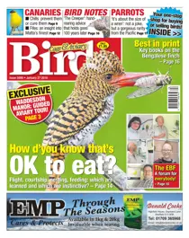 No. 5890 How d'you know that's OK to eat? 
                issue No. 5890 How d'you know that's OK to eat?