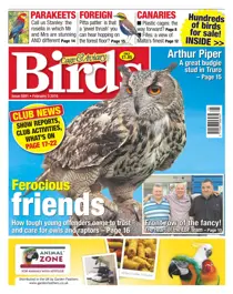 No. 5891 Ferocious friends 
                issue No. 5891 Ferocious friends