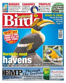 No. 5892 Hornbills need havens 
                issue No. 5892 Hornbills need havens