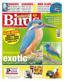 No. 5895 Homegrown Exotic 
                issue No. 5895 Homegrown Exotic