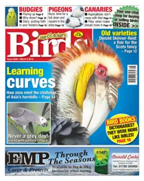 No. 5896 Learning Curves 
                issue No. 5896 Learning Curves