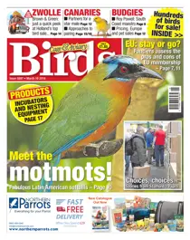 No. 5897 Meet The Motmots! 
                issue No. 5897 Meet The Motmots!