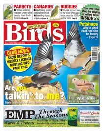 No. 5898 Are you talkin' to me? 
                issue No. 5898 Are you talkin' to me?