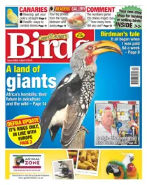 No. 5900 A land of giants 
                issue No. 5900 A land of giants