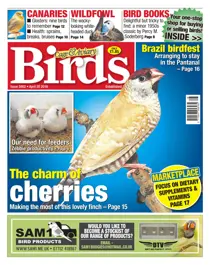 No. 5902 The Charm Of Cherries 
                issue No. 5902 The Charm Of Cherries