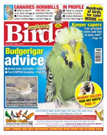No. 5904 Budgerigar Advice 
                issue No. 5904 Budgerigar Advice