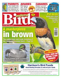 No. 5906 A Masterpiece In Brown  
                issue No. 5906 A Masterpiece In Brown 