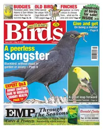 No 5907- A Peerless Songster 
                issue No 5907- A Peerless Songster