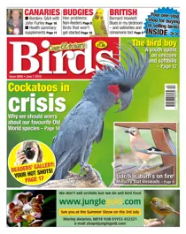 No. 5908 Cockatoos In Crisis 
                issue No. 5908 Cockatoos In Crisis