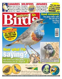 No. 5910 - Hear What I'm Saying? 
                issue No. 5910 - Hear What I'm Saying?