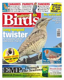 No. 5913 Long-tongued twister 
                issue No. 5913 Long-tongued twister