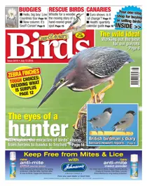 No. 5914 The Eyes Of A Hunter  
                issue No. 5914 The Eyes Of A Hunter 