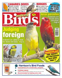 No. 5915 - Judging Foreign  
                issue No. 5915 - Judging Foreign 