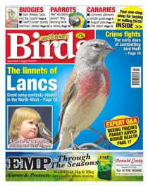 No. 5918 The Linnets Of Lancs 
                issue No. 5918 The Linnets Of Lancs