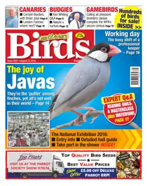 No. 5921 The Joy Of Javas 
                issue No. 5921 The Joy Of Javas
