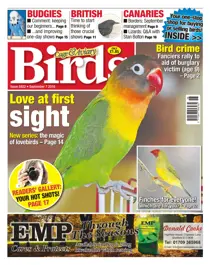 No. 5922 Love At First Sight 
                issue No. 5922 Love At First Sight