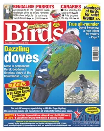 No. 5925 Dazzling Doves  
                issue No. 5925 Dazzling Doves 
