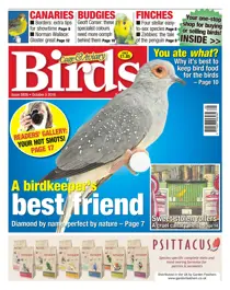 No. 5926 A Birdkeeper's Best Friend 
                issue No. 5926 A Birdkeeper's Best Friend