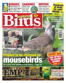 No. 5927 Prepare to be charmed by mousebirds 
                issue No. 5927 Prepare to be charmed by mousebirds
