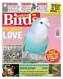 No. 5928 The Look Of Love 
                issue No. 5928 The Look Of Love