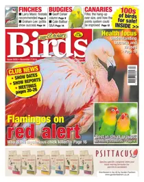 No. 5930 Flamingos On Red Alert  
                issue No. 5930 Flamingos On Red Alert 