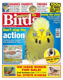 No. 5931 Don't Stop The Action 
                issue No. 5931 Don't Stop The Action