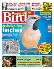 No. 5934 Australia's Finest Finches 
                issue No. 5934 Australia's Finest Finches