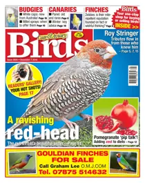 No. 5935 A Ravishing Red Head 
                issue No. 5935 A Ravishing Red Head