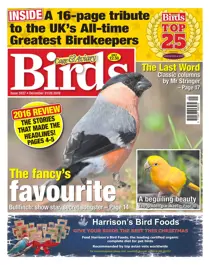 No. 5937 The Fancy's Favourite  
                issue No. 5937 The Fancy's Favourite 
