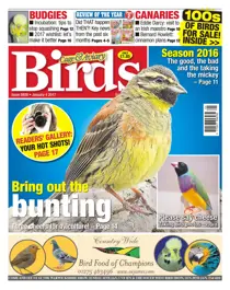 No. 5938 Bring Out The Bunting  
                issue No. 5938 Bring Out The Bunting 