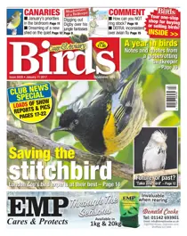 No. 5939 Saving The Stitchboard  
                issue No. 5939 Saving The Stitchboard 