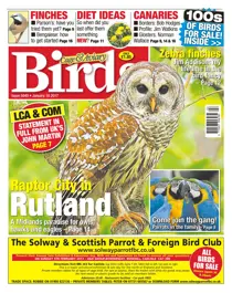 No. 5940 Raptor City in Rutland  
                issue No. 5940 Raptor City in Rutland 