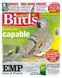 No. 5941 Eminently capable  
                issue No. 5941 Eminently capable 