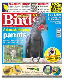 No. 5942 A Decade Helping Parrots  
                issue No. 5942 A Decade Helping Parrots 