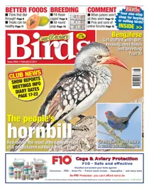 No. 5943 The People's Hornbill  
                issue No. 5943 The People's Hornbill 