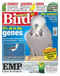 No. 5944 It's all in the genes 
                issue No. 5944 It's all in the genes