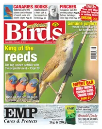 No. 5945 King Of The Reeds 
                issue No. 5945 King Of The Reeds