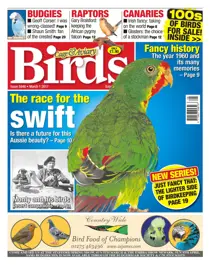 No. 5946 The race for the swift  
                issue No. 5946 The race for the swift 